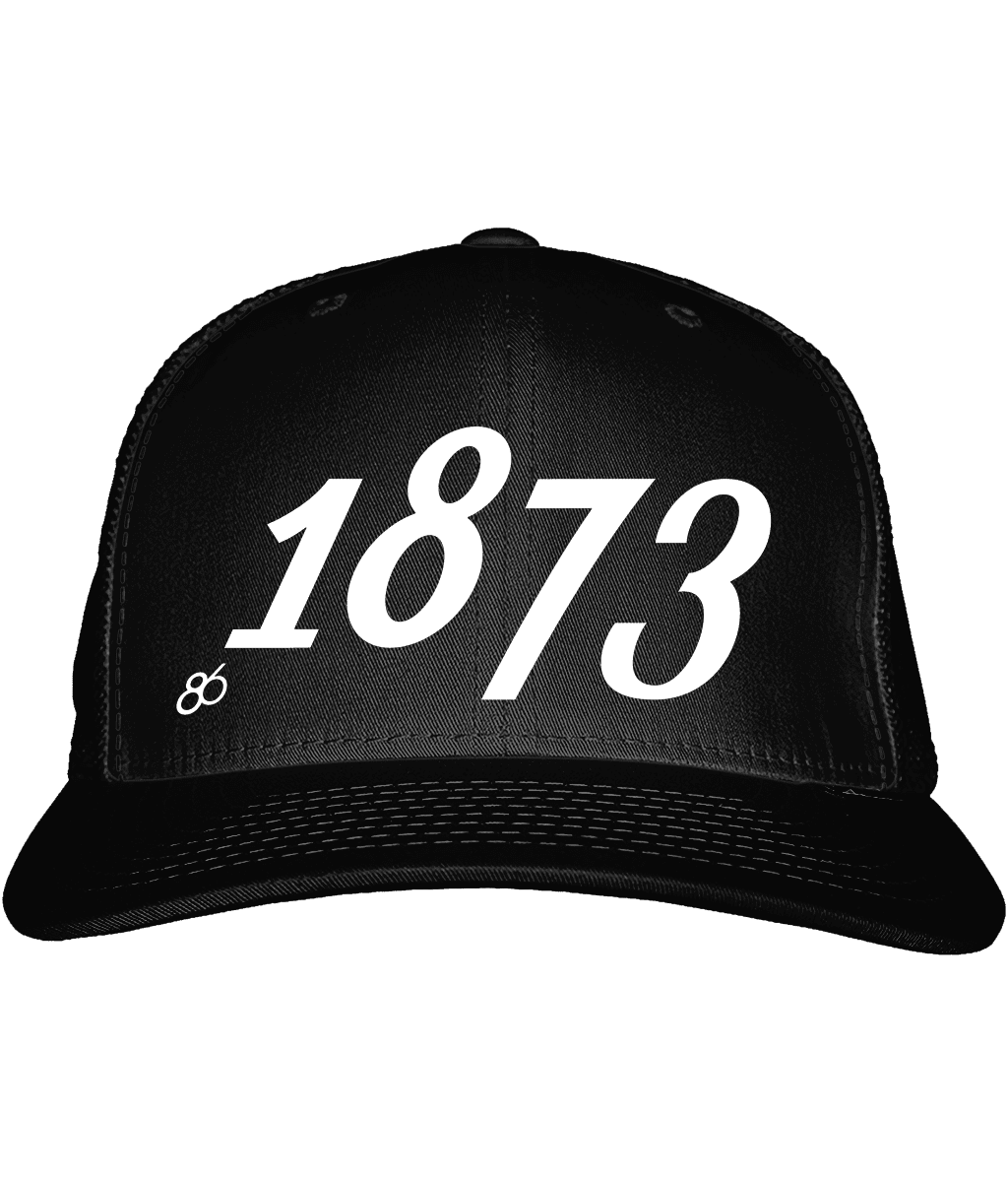 1873 c1