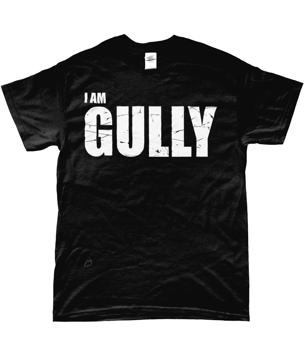 I AM GULLY