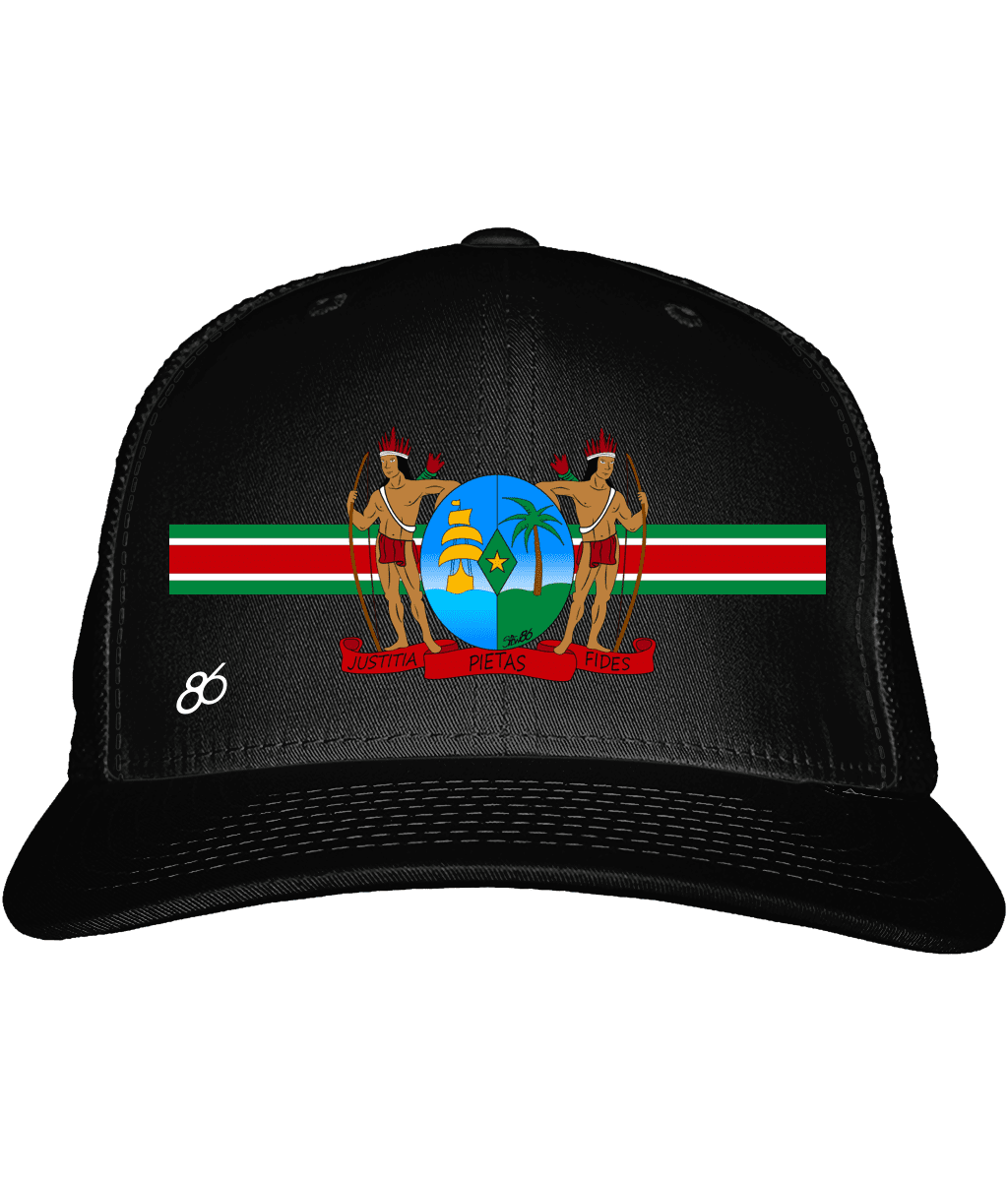 Wapen van Suriname c1
